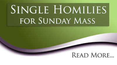 32nd Sunday Of Ordinary Time – Roman Catholic Homilies