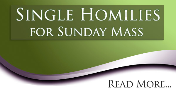 Single Homilies for ordinary time - Read More