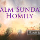 Palm Sunday Homily