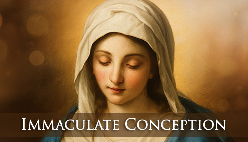 Immaculate Conception Homily